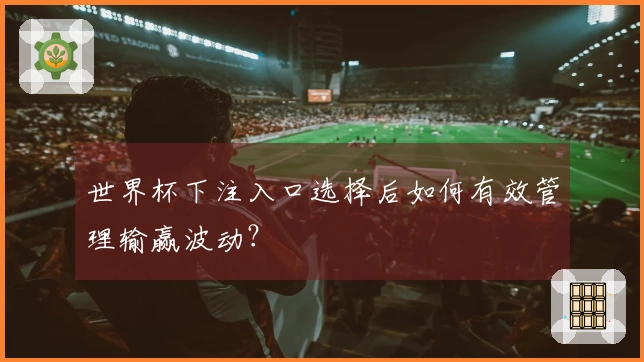 世界杯下注入口选择后如何有效管理输赢波动?